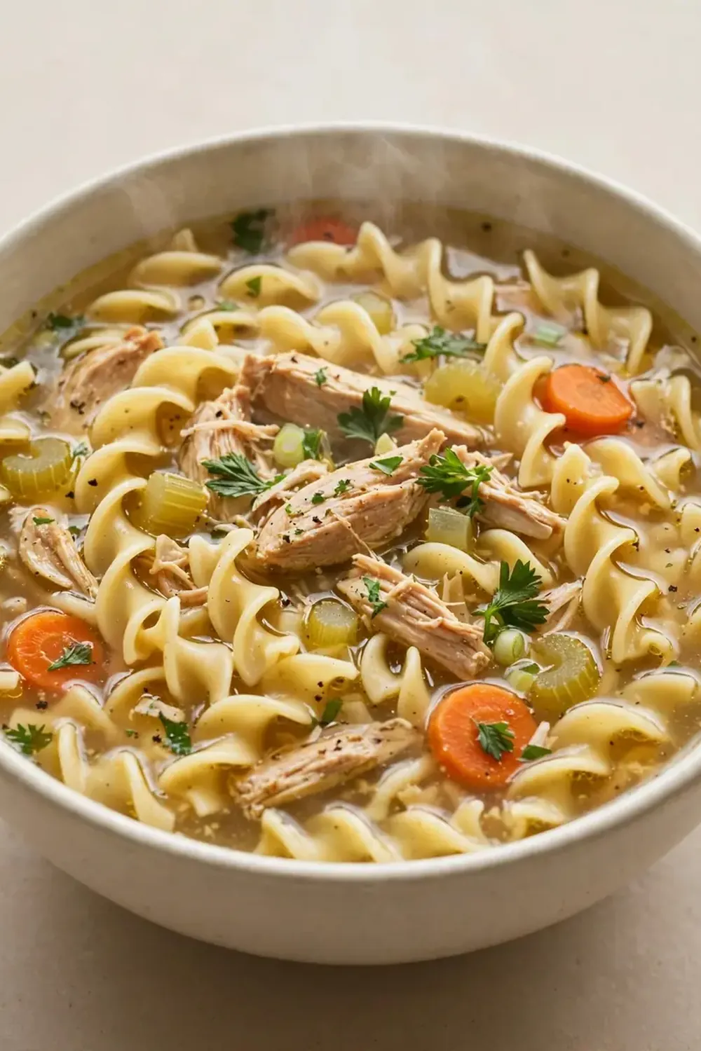 Quick Chicken Noodle Soup