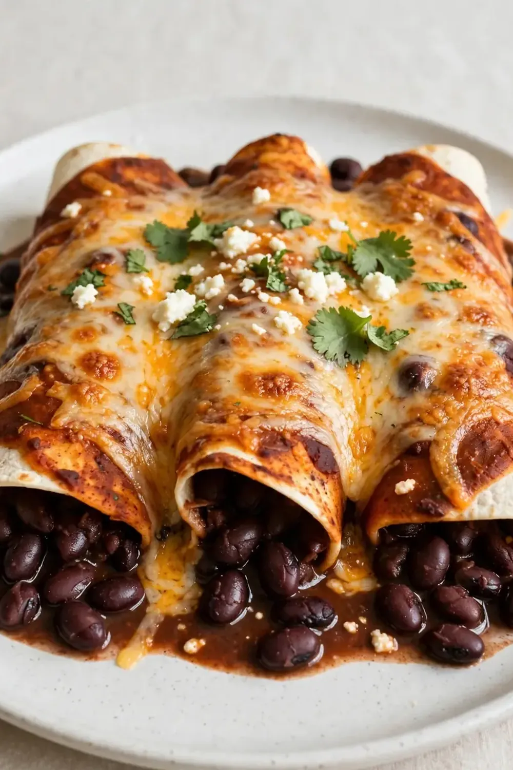 Black Bean and Cheese Enchiladas