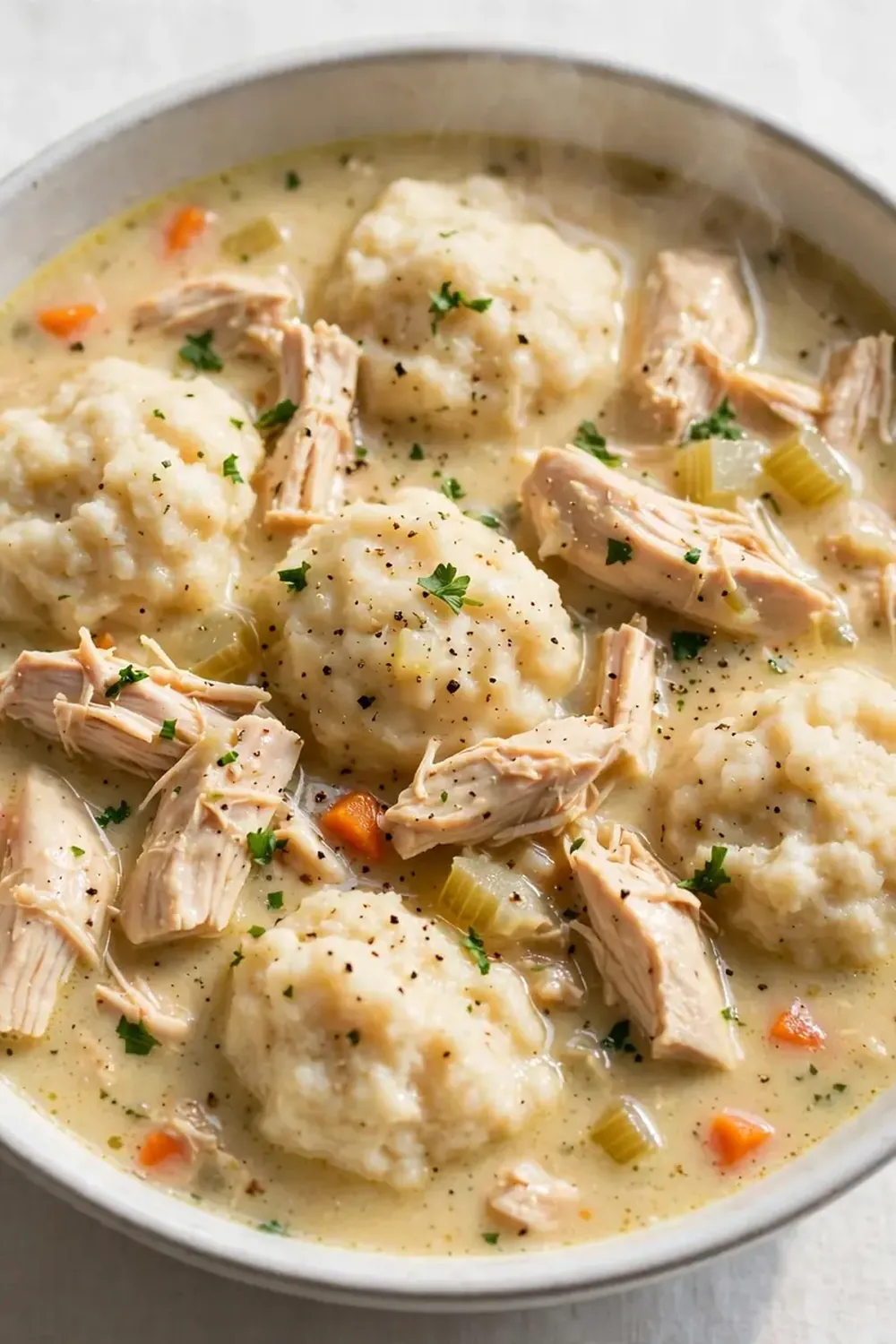 quick chicken and dumpling soup
